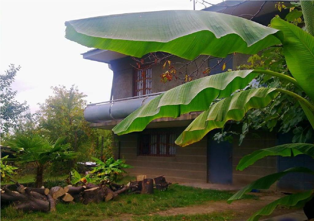 Farmer'S Guest House テラヴィ エクステリア 写真